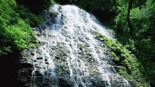 新型高性能